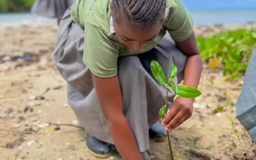 Mangrove Development, Education, Awareness and Livelihoods Project